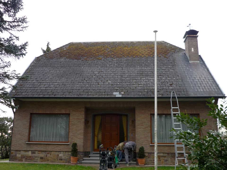 Woning met een dak vol mos, voor de reiniging